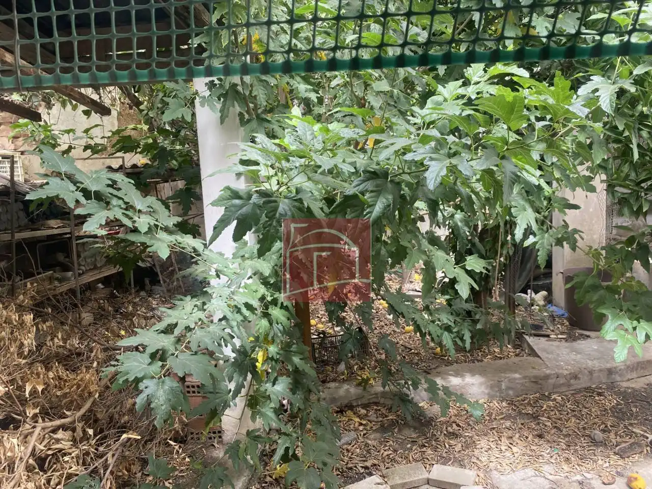 Terreni e lotti in vendita a Villanueva de la Serena, imagen 5