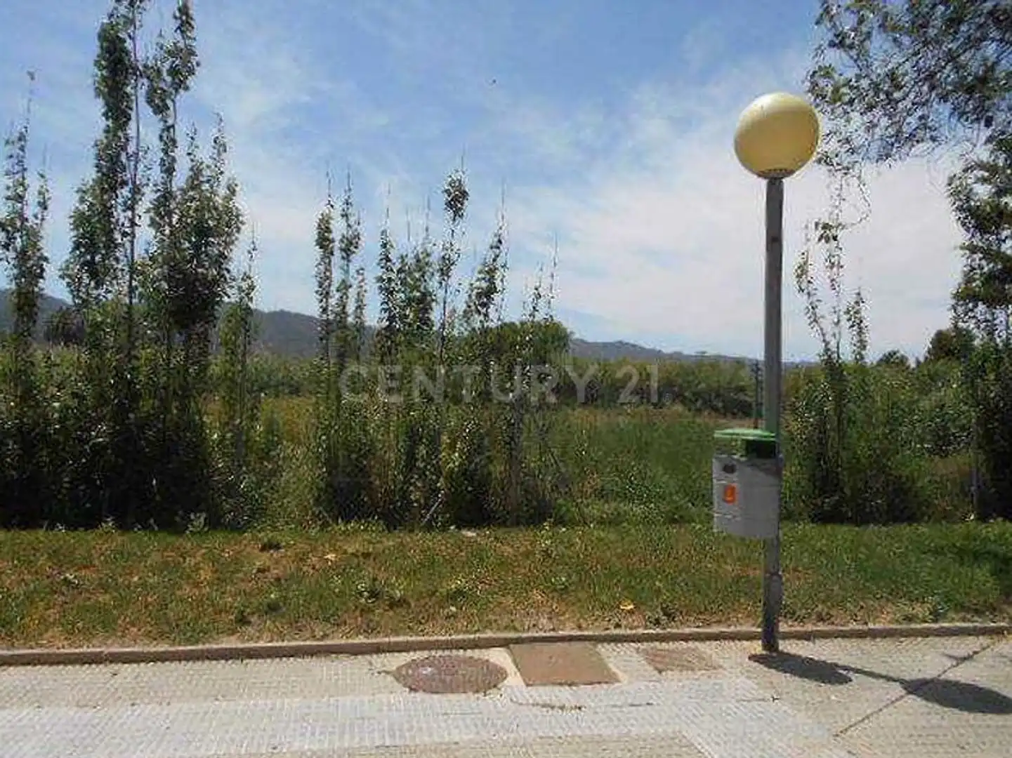 Terreny rústic en venda a Avenida del Palmar, imagen 6