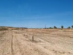 Terreno rústico en venta en Calle Granada, imagen 9