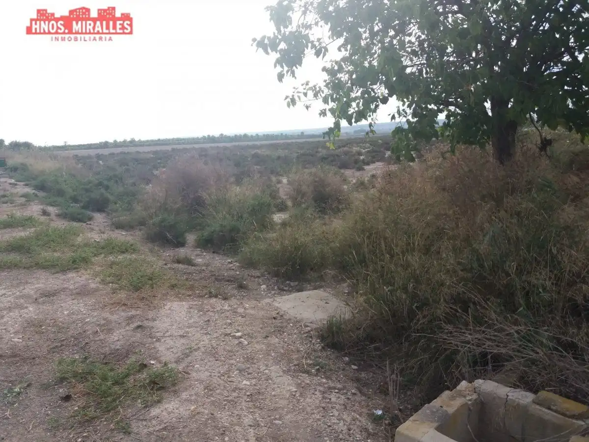 Terreno rustico in vendita a Dolores, imagen 4