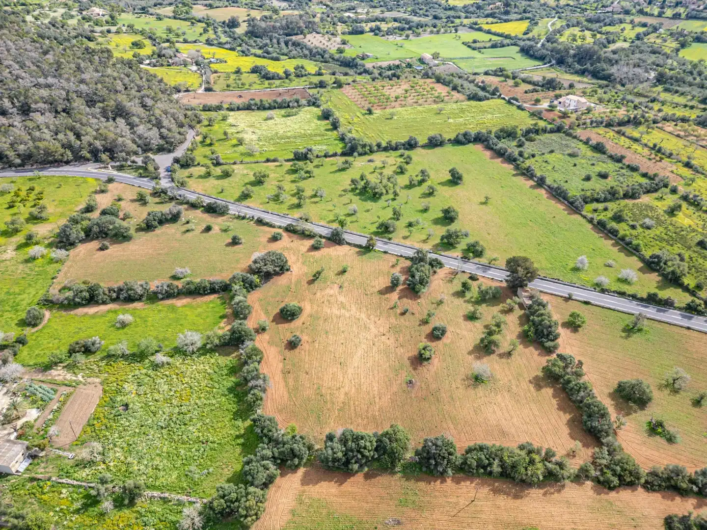 Rural land for sale in Felanitx Poble, imagen 26