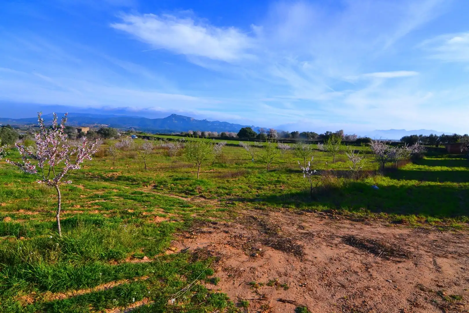 Rural land for sale in Gandesa, imagen 34