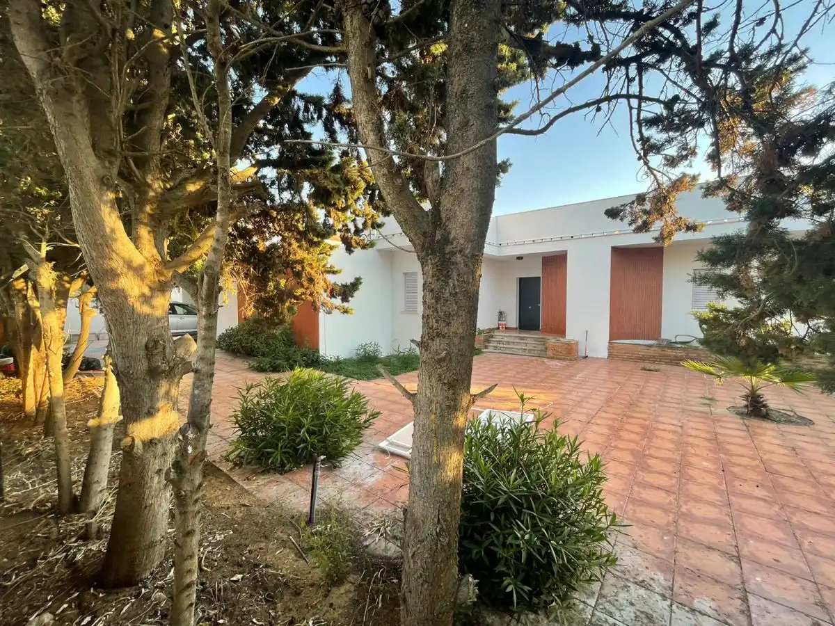 Vista exterior de Casa o chalet en venta en El Rompido con Terraza