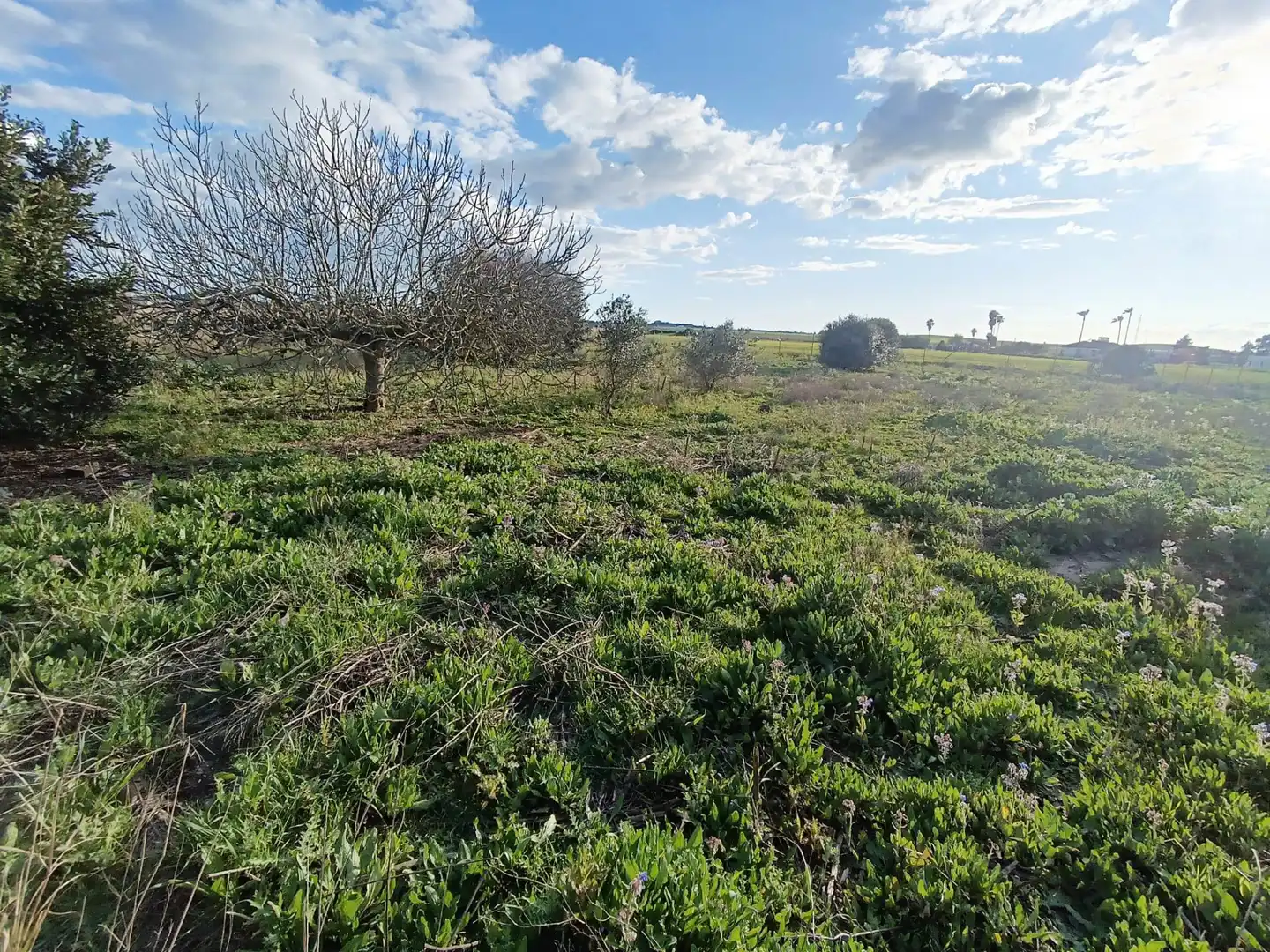 Country homes for sale in El Puerto de Santa María  with Air Conditioner, Private garden and Terrace