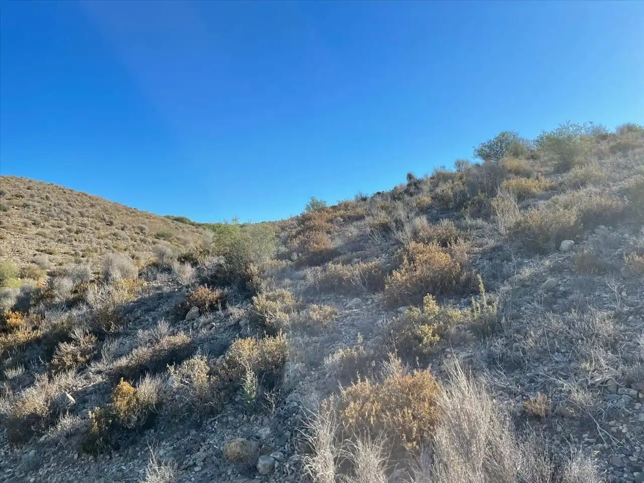 Terreny residencial en venda a SIETE FUENTES 35, imagen 11