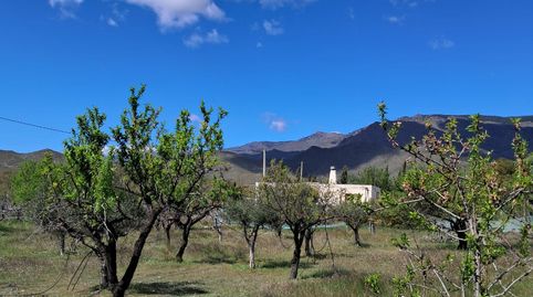 Photo 2 of Country homes for sale in Senés, Almería