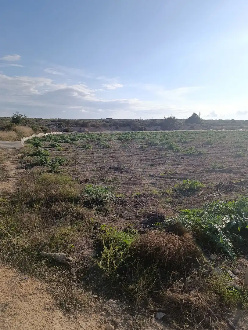 Terrain rustique à vendre à La Marina, imagen 15