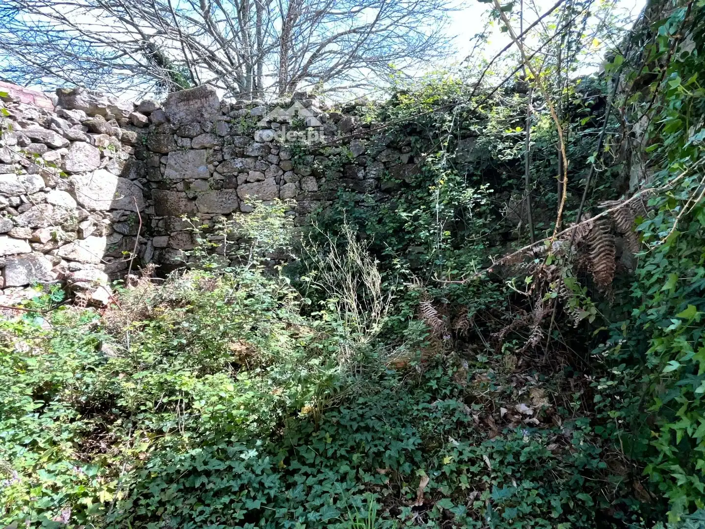 Rural land for sale in Arbo