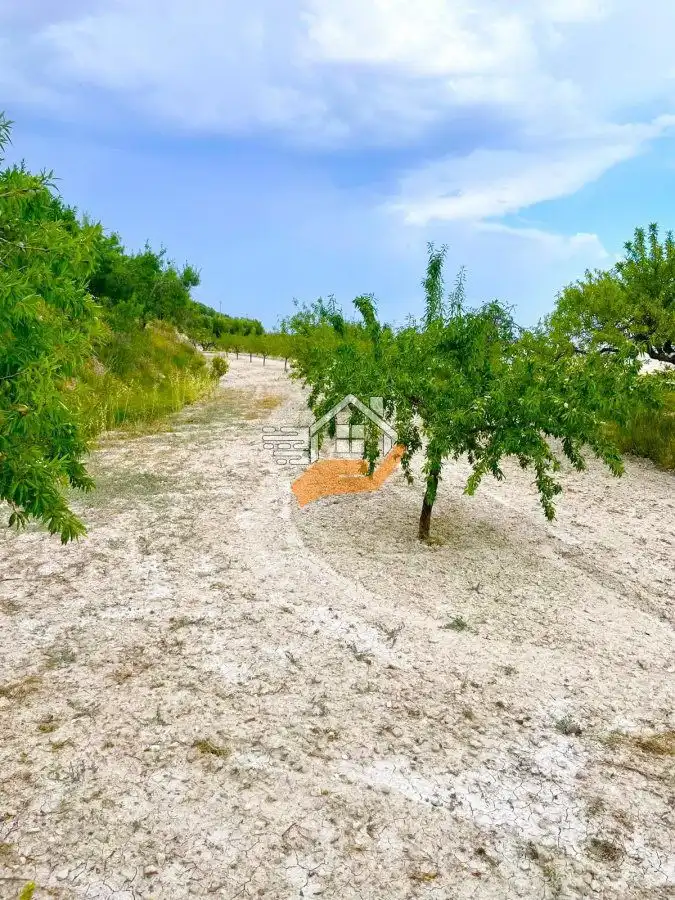Lands and plots for sale in Vélez-Blanco, imagen 6