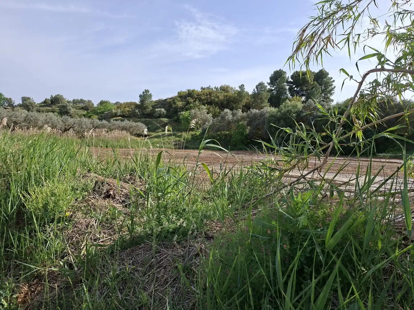 Finca rústica en venda en Caspe