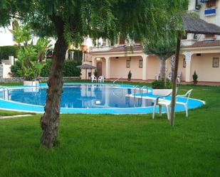 Swimming pool of House or chalet to rent in Torrevieja  with Private garden, Storage room and Furnished