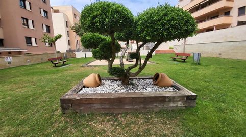 Foto 4 de Piso en venta en Santa Clotilde, Lloret de Mar