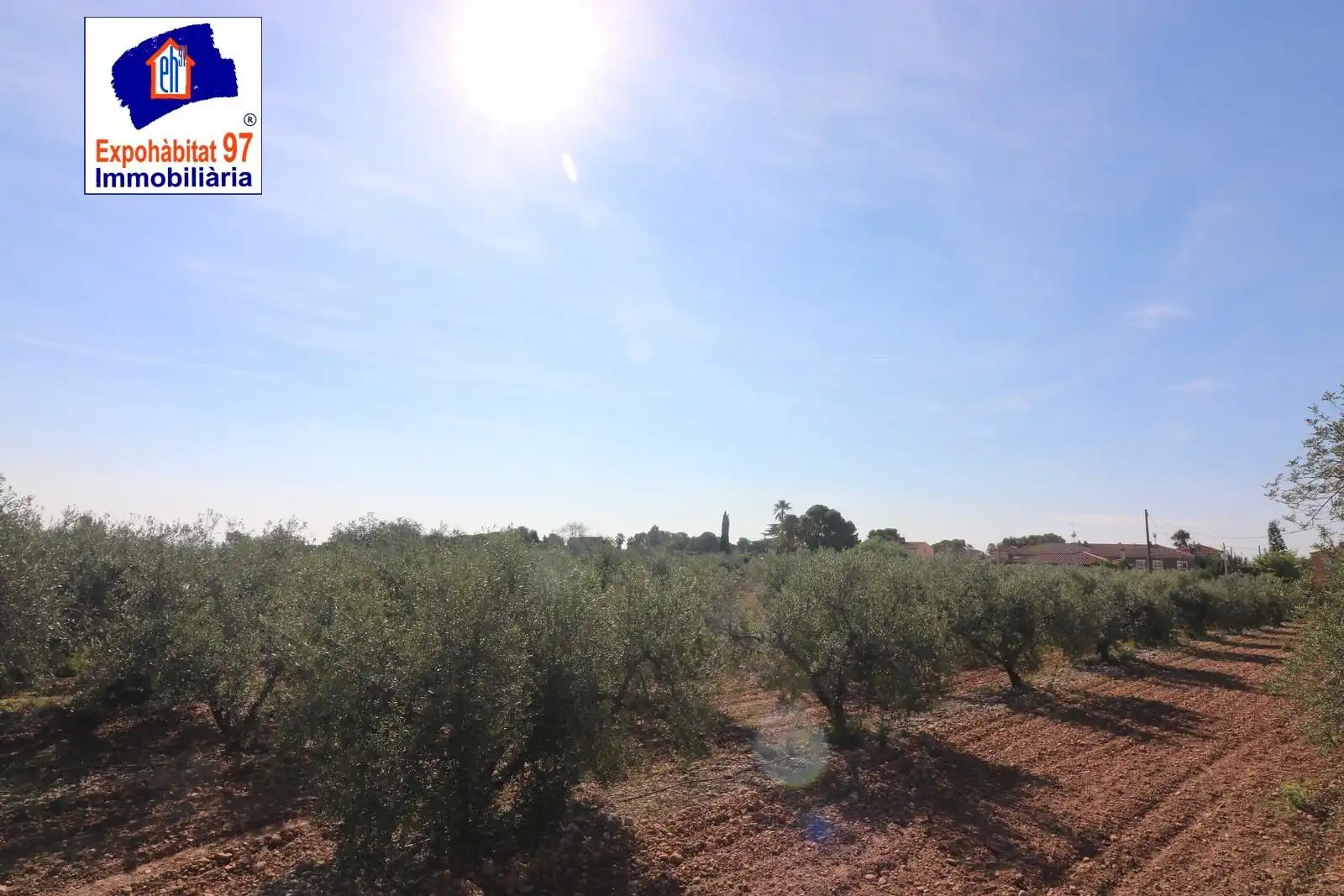 Lands and plots for sale in Carrer Partida Tarrès, imagen 3
