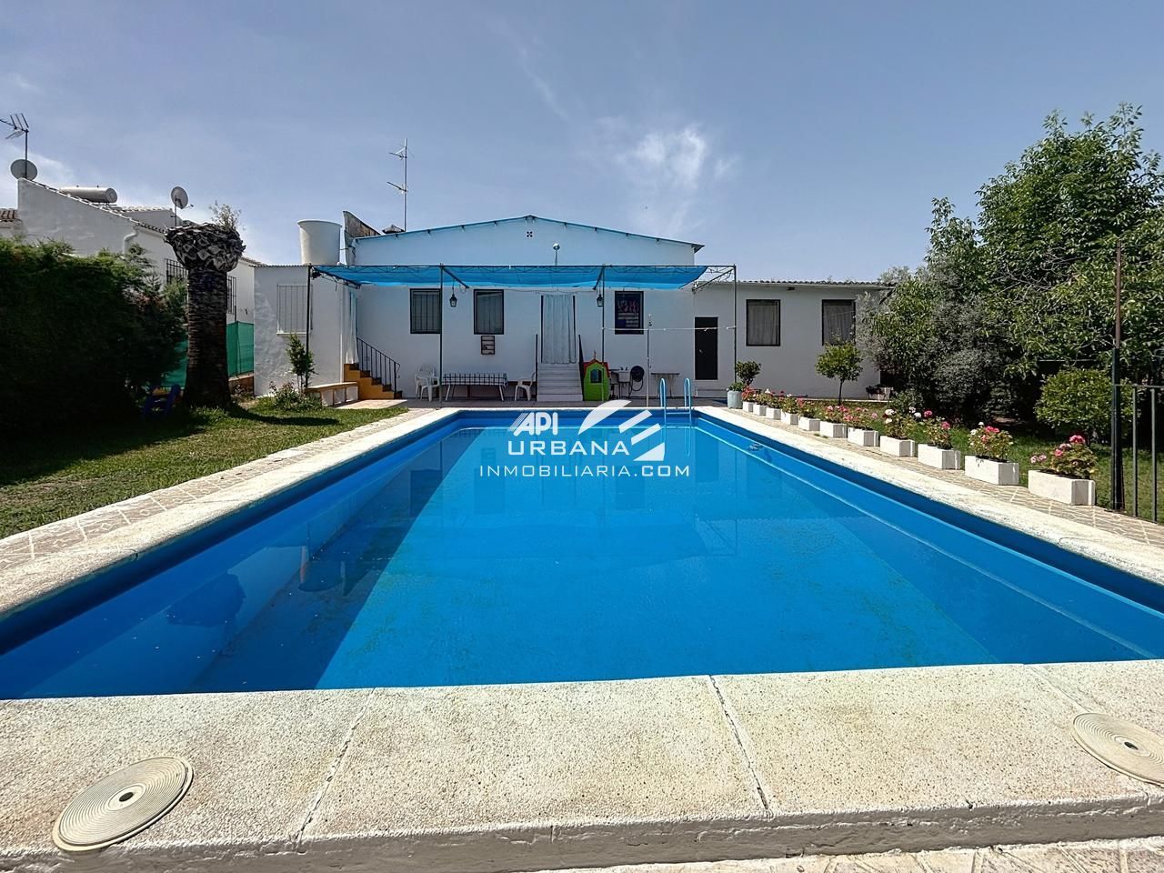 Piscina de Casa o xalet en venda en Lucena amb Piscina