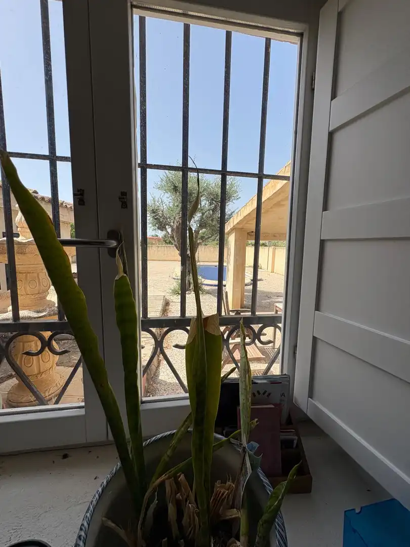 Chalet con piscina en venta en DISEMINADOS, imagen 84