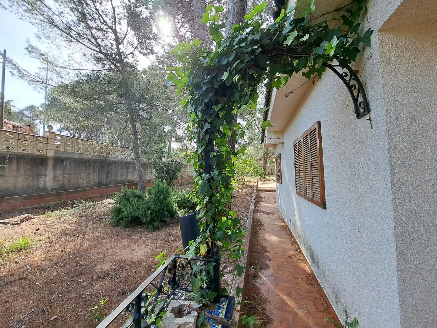 Jardín de Casa o chalet en venta en Alzira con Jardín privado y Terraza
