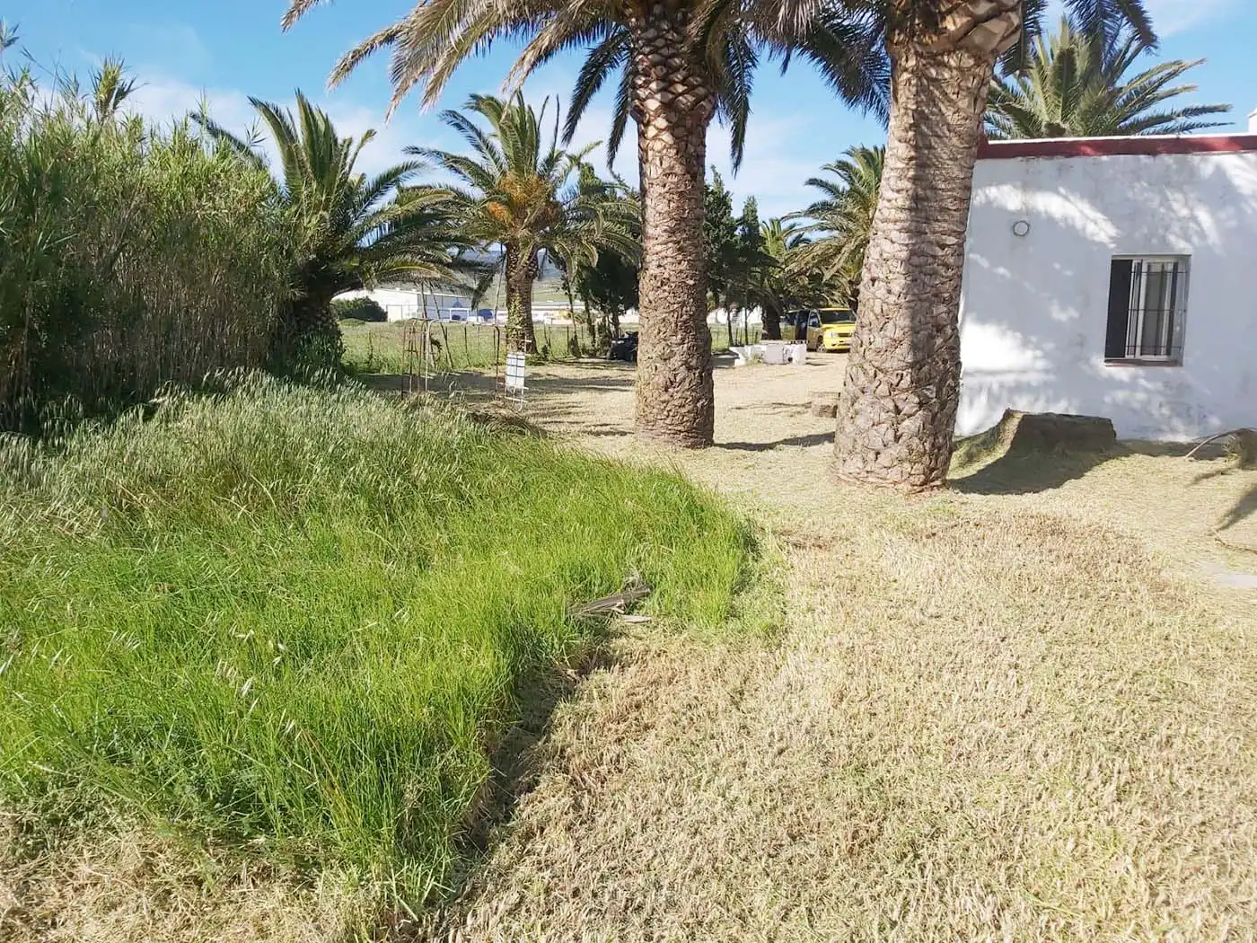 Terreno rustico in vendita a Tarifa ciudad, imagen 8