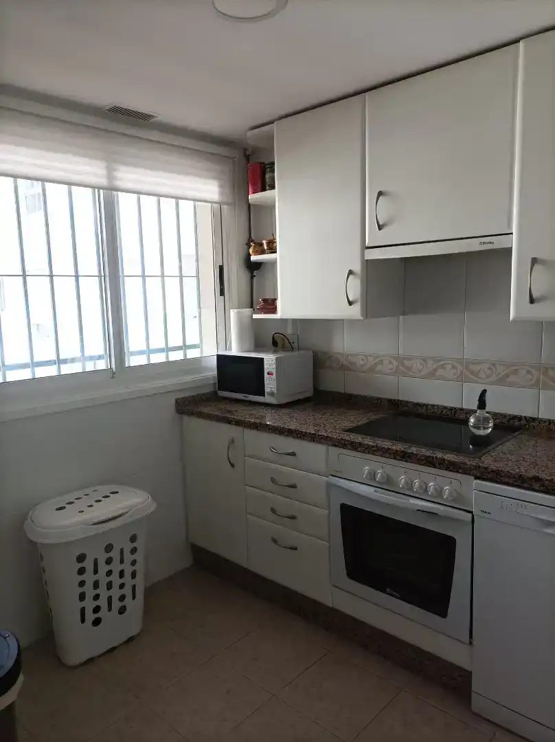 Kitchen of Flat for rent in San Pedro de Alcántara