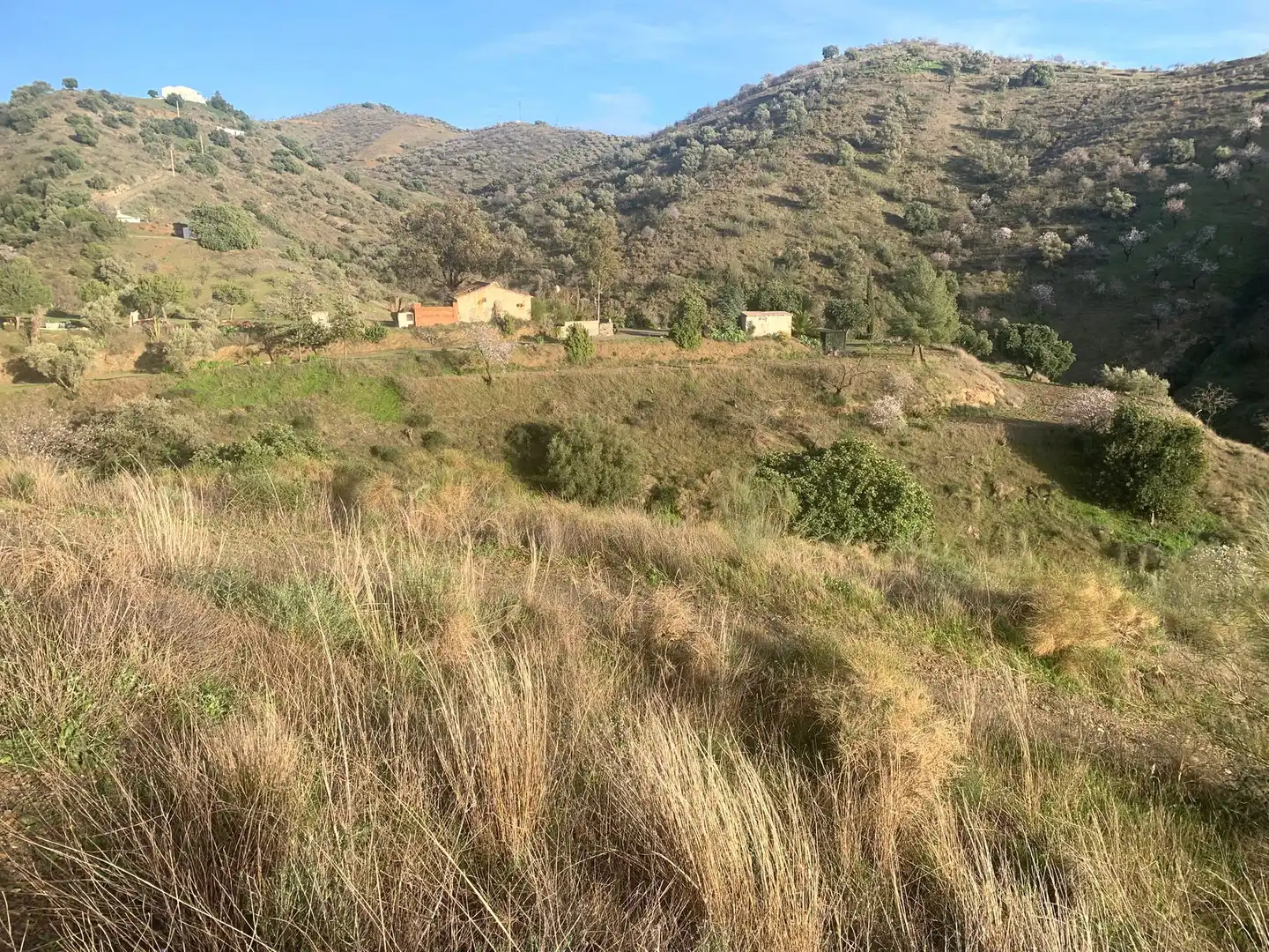 Finca rústica en venda en Sedella amb Jardí privat, Terrassa i Traster