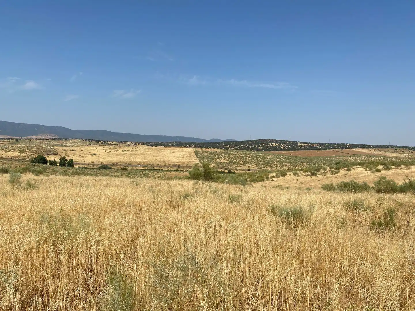 Grundstücke zum Verkauf in Aldeanueva de San Bartolomé
