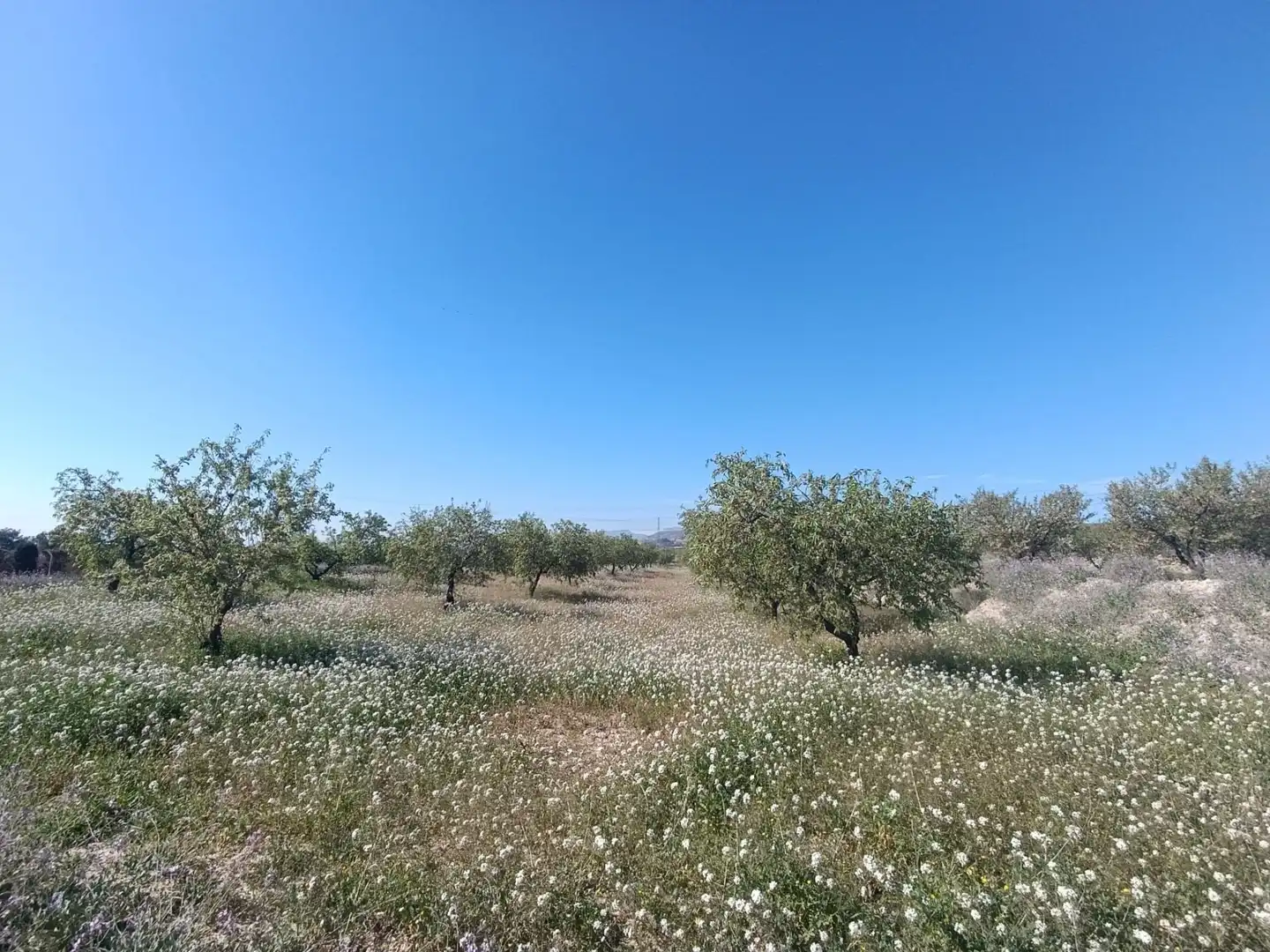 Haus oder Chalet zum Verkauf in Murcia mit Klimaanlage, Heizung und Privatgarten