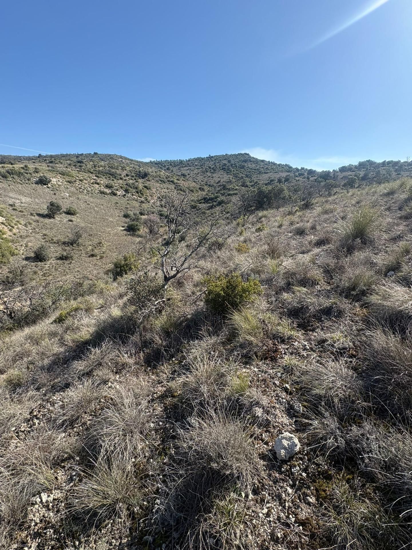 Land for sale in Carabaña