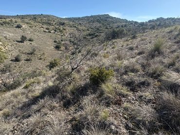 Rural land for sale in Carabaña