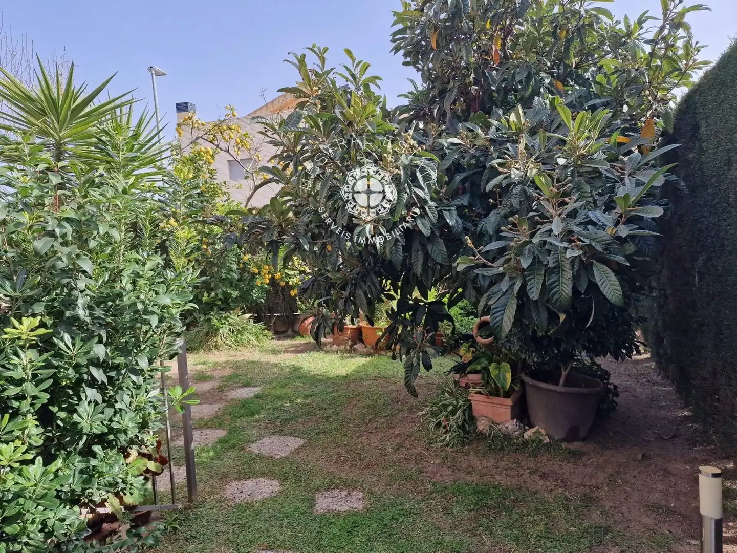 Villa avec piscine à vendre à Aristides Maiol, imagen 14