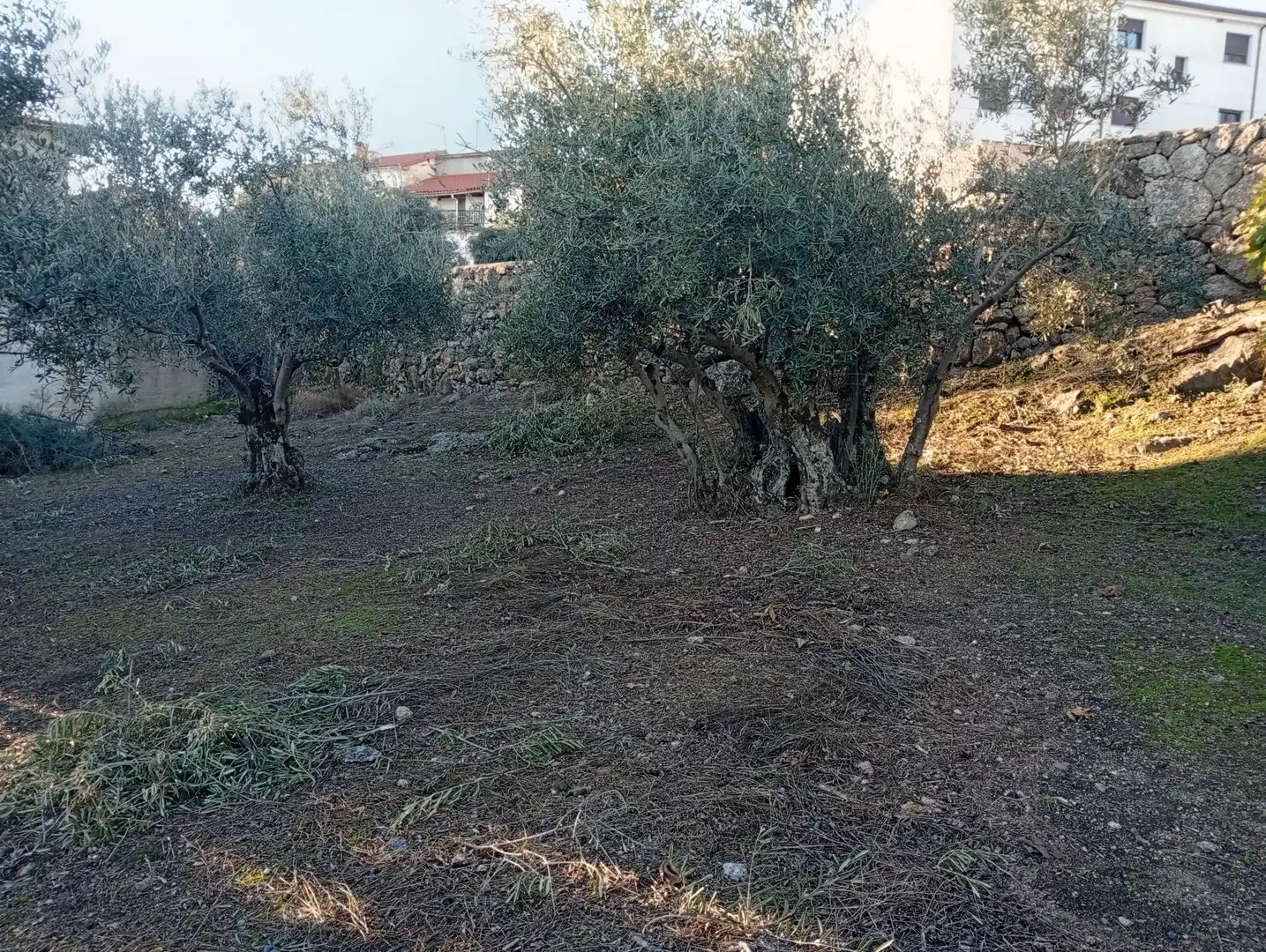 Terreni e lotti in vendita a Villanueva de la Vera, imagen 63