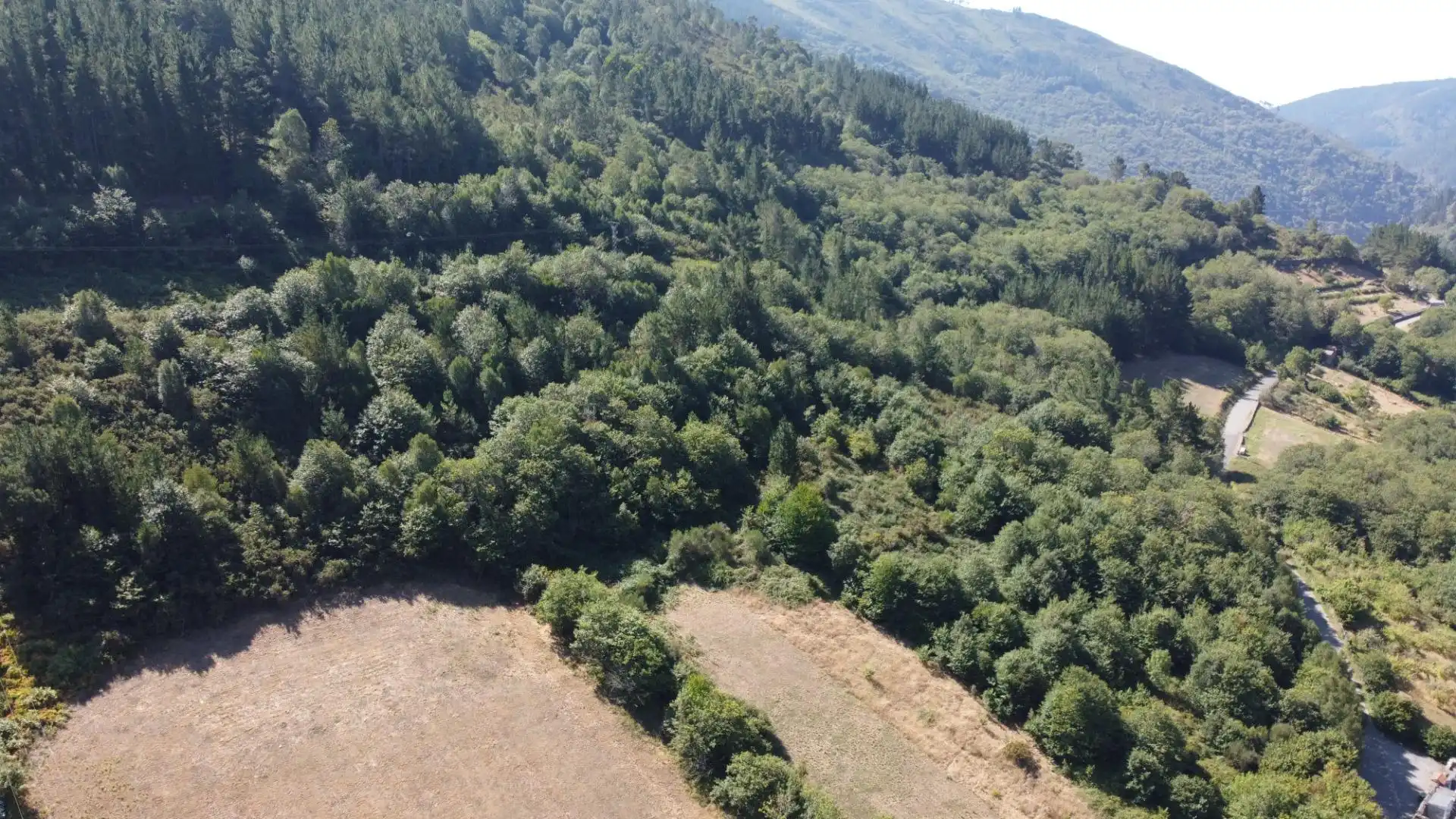 Casa o xalet en venda en Allande amb Jardí privat i Balcó