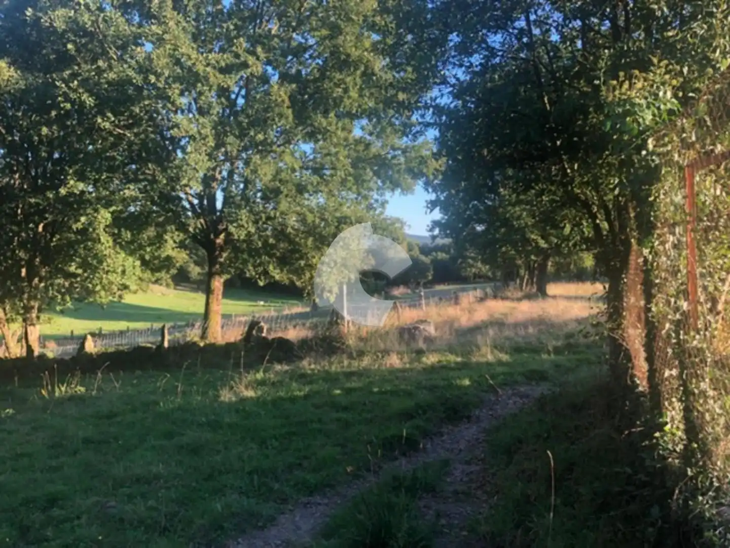 Terreni e lotti in vendita a Nogueira de Ramuín, imagen 50
