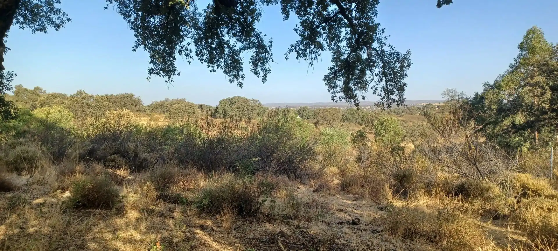 Terreni e lotti in vendita a Castilblanco de los Arroyos, imagen 3