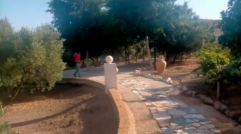 Foto 5 de Finca rústica de lloguer a Pozo de los Frailes - Presillas - Albaricoques, Níjar