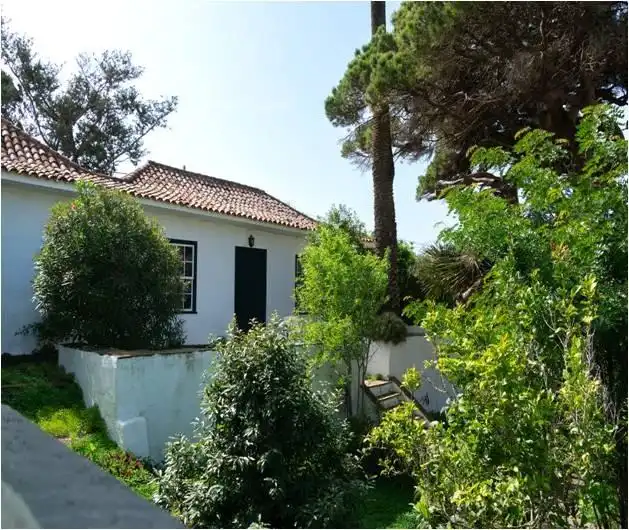 Jardí de Casa o xalet en venda en Tegueste amb Jardí privat, Terrassa i Balcó