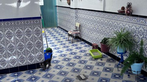 RuteCasa, image 4