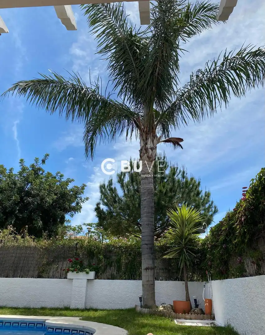 Vista exterior de Casa o chalet en venta en Benalmádena con Aire acondicionado, Calefacción y Jardín privado