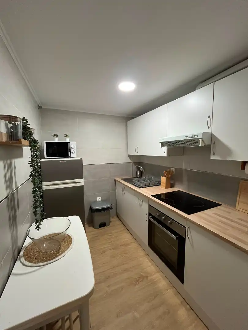 Kitchen of Apartments for rent in Fuengirola  with Air Conditioner, Terrace and Furnished
