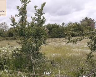 Residential for sale in Santo Tomé del Puerto