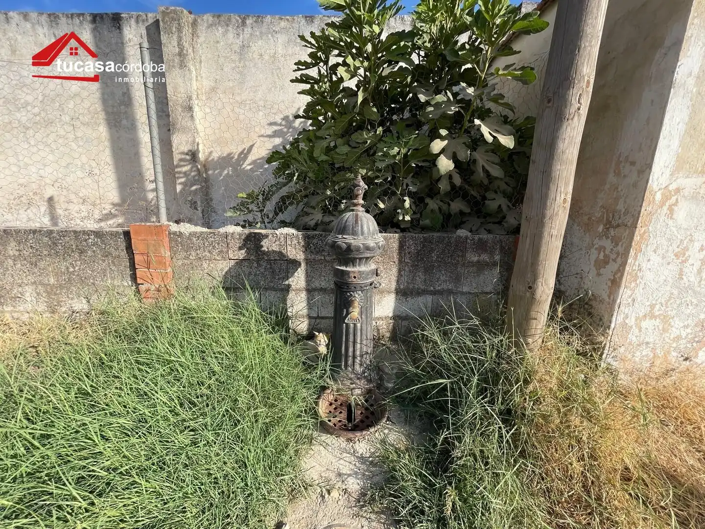 Jardín de Finca rústica en venta en Córdoba con Piscina