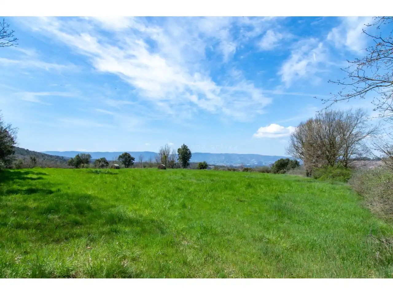 Houses for sale in Seva