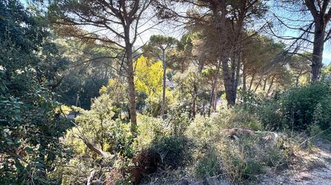 Photo 5 of Residential for sale in Carrer Garrofer, Aiguaviva Parc, Girona