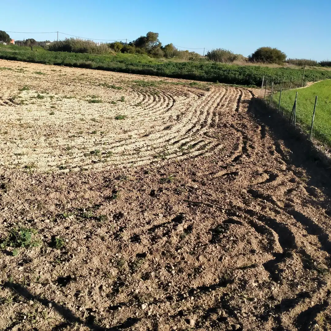 Lands and plots for sale in Los Franceses – La Vega, imagen 4