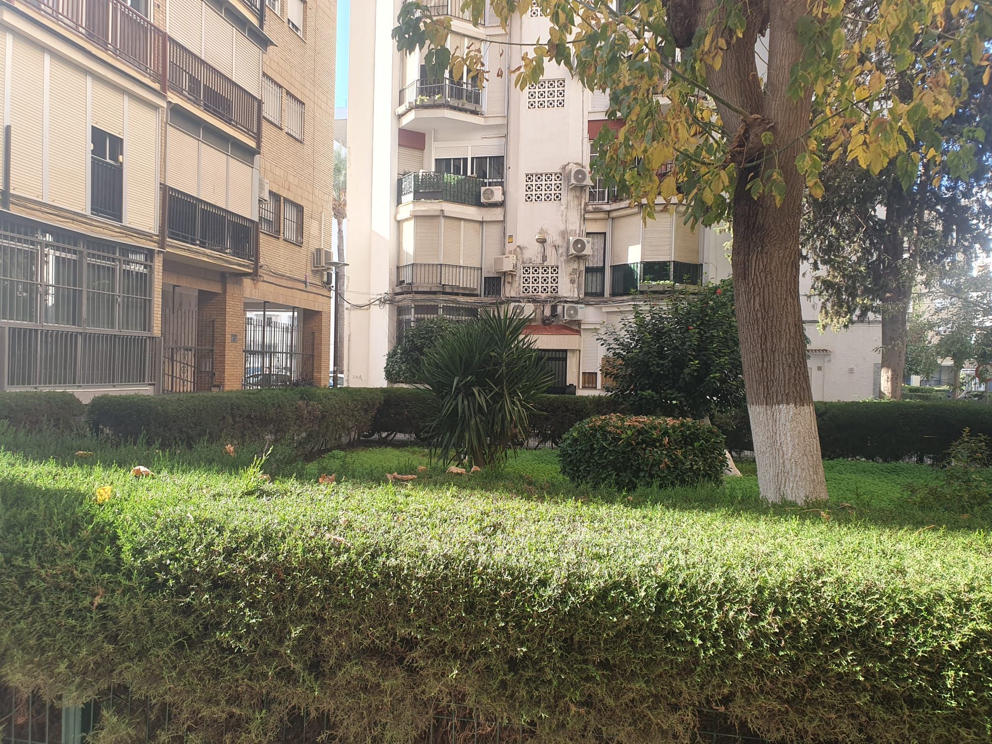 Vista exterior de Pis en venda en  Sevilla Capital amb Aire condicionat i Terrassa