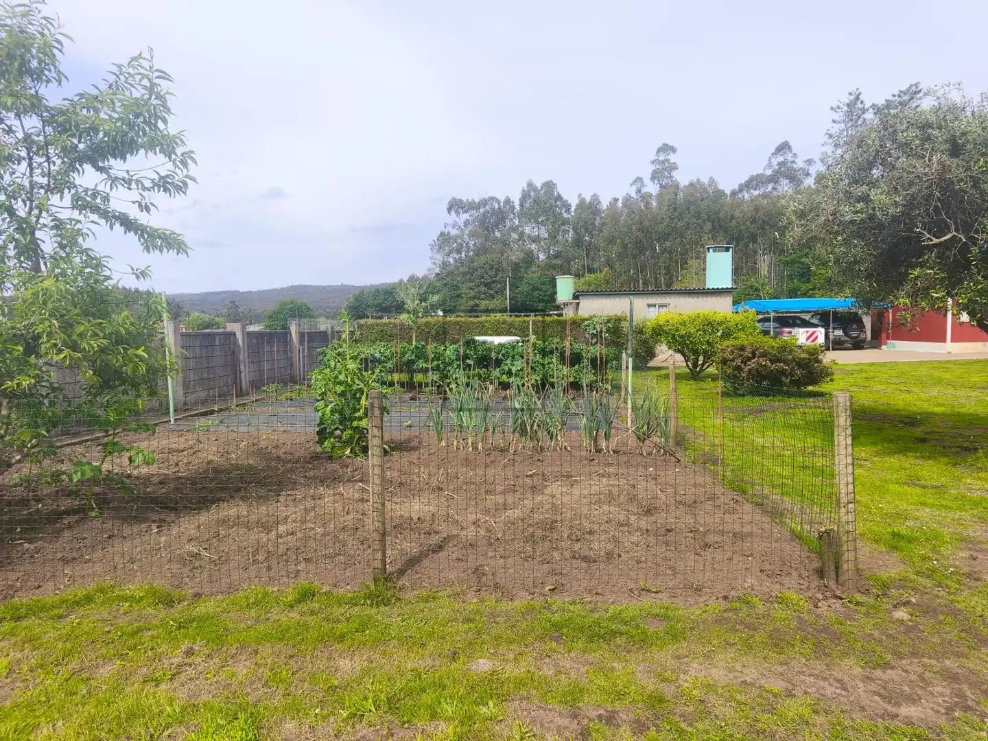 Jardí de Casa o xalet en venda en Monfero amb Jardí privat i Traster