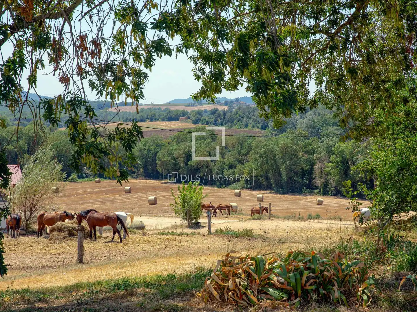 Finca rústica en venda en Vilademuls amb Calefacció, Jardí privat i Terrassa