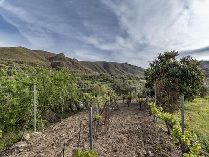 Garden of Country house for sale in Monachil
