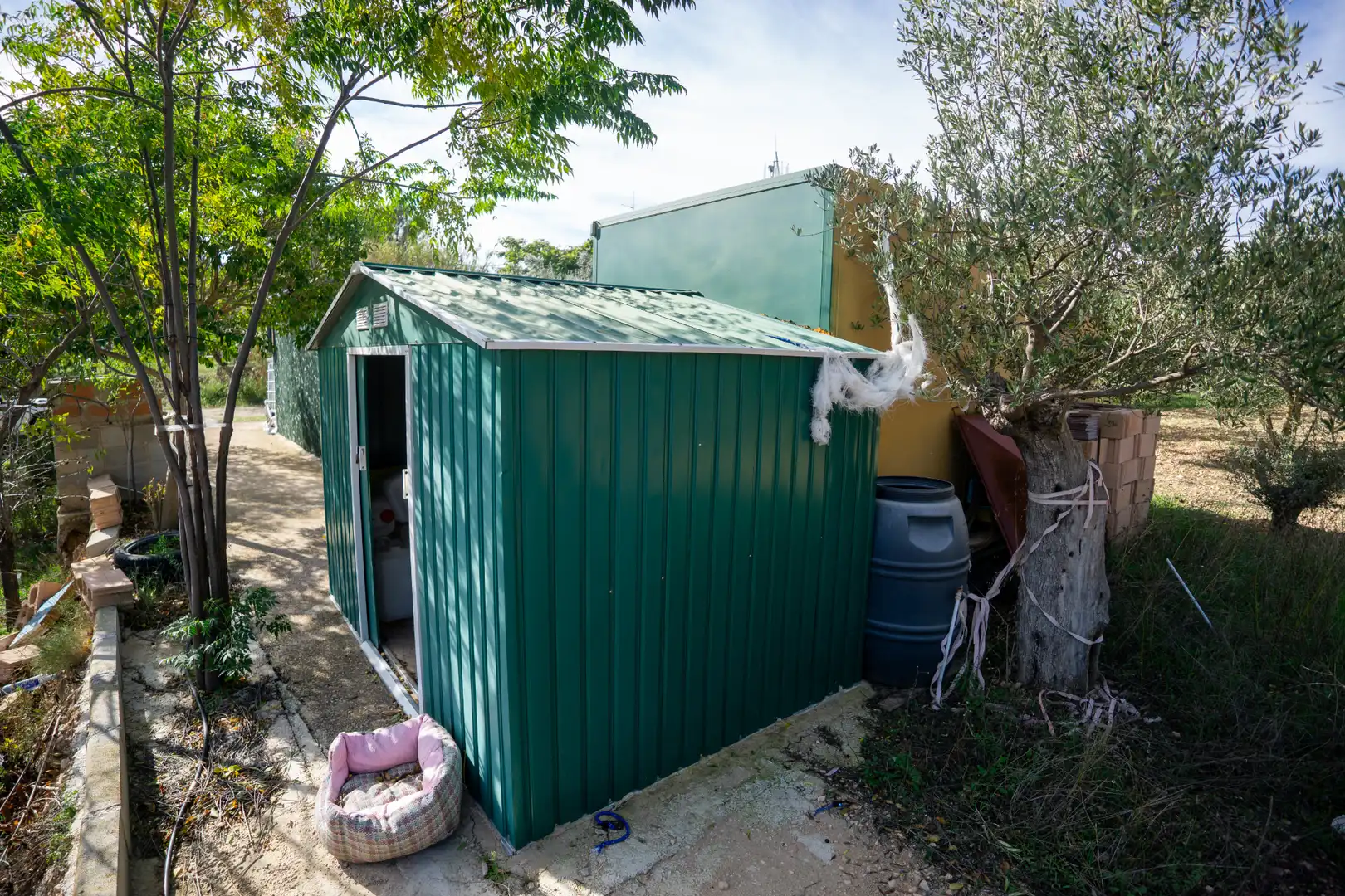 Rural land for sale in Onil, imagen 9