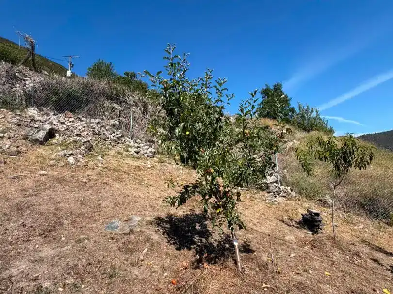 Finca rústica en venda en Navia de Suarna, Lugo
