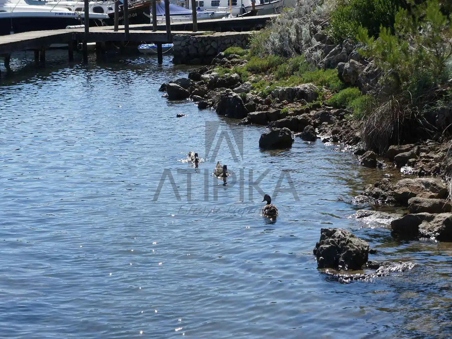Lands and plots for sale in Coves Noves, imagen 10