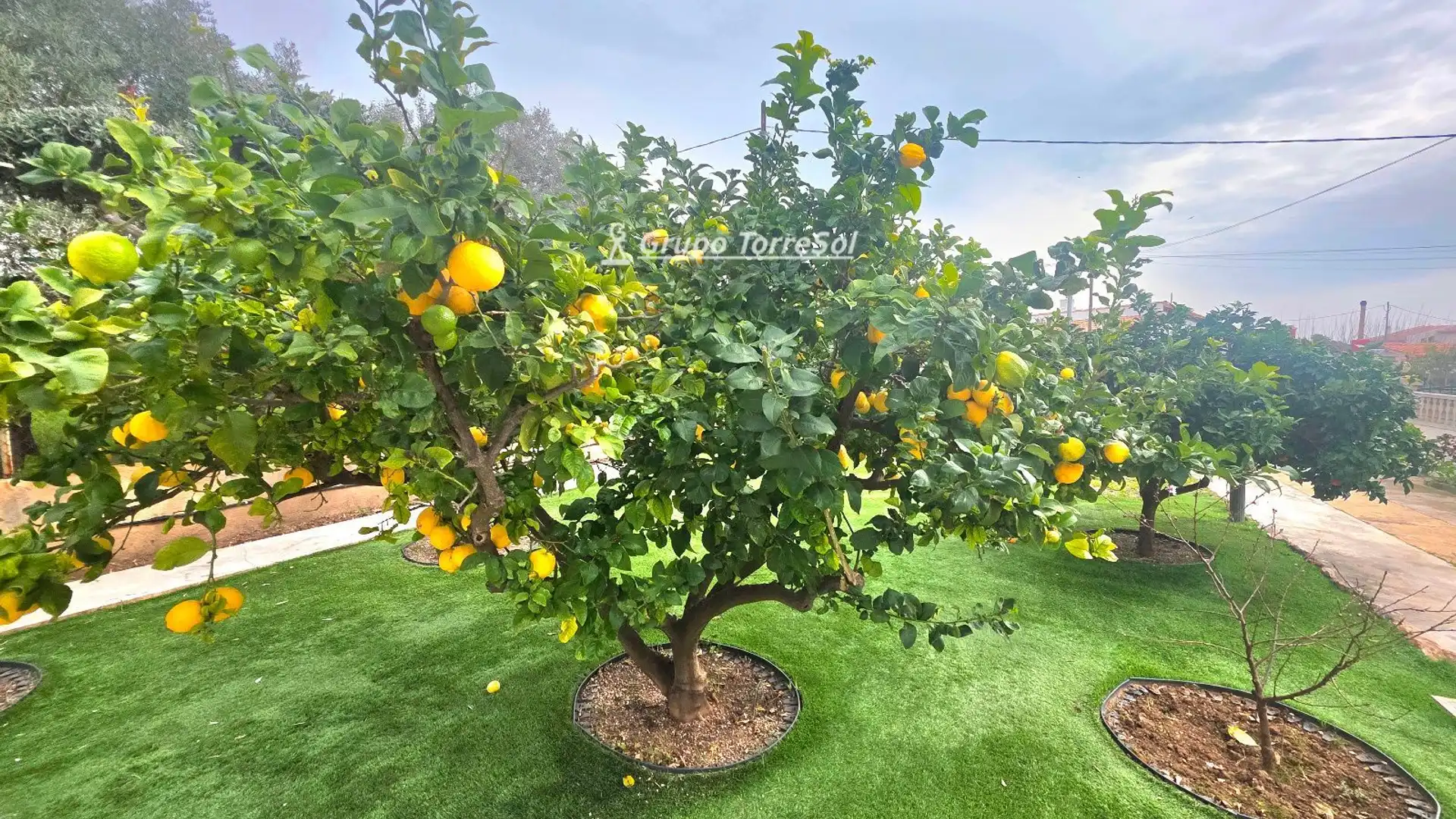 Garten von Einfamilien-Reihenhaus zum Verkauf in Altafulla mit Klimaanlage, Heizung und Privatgarten